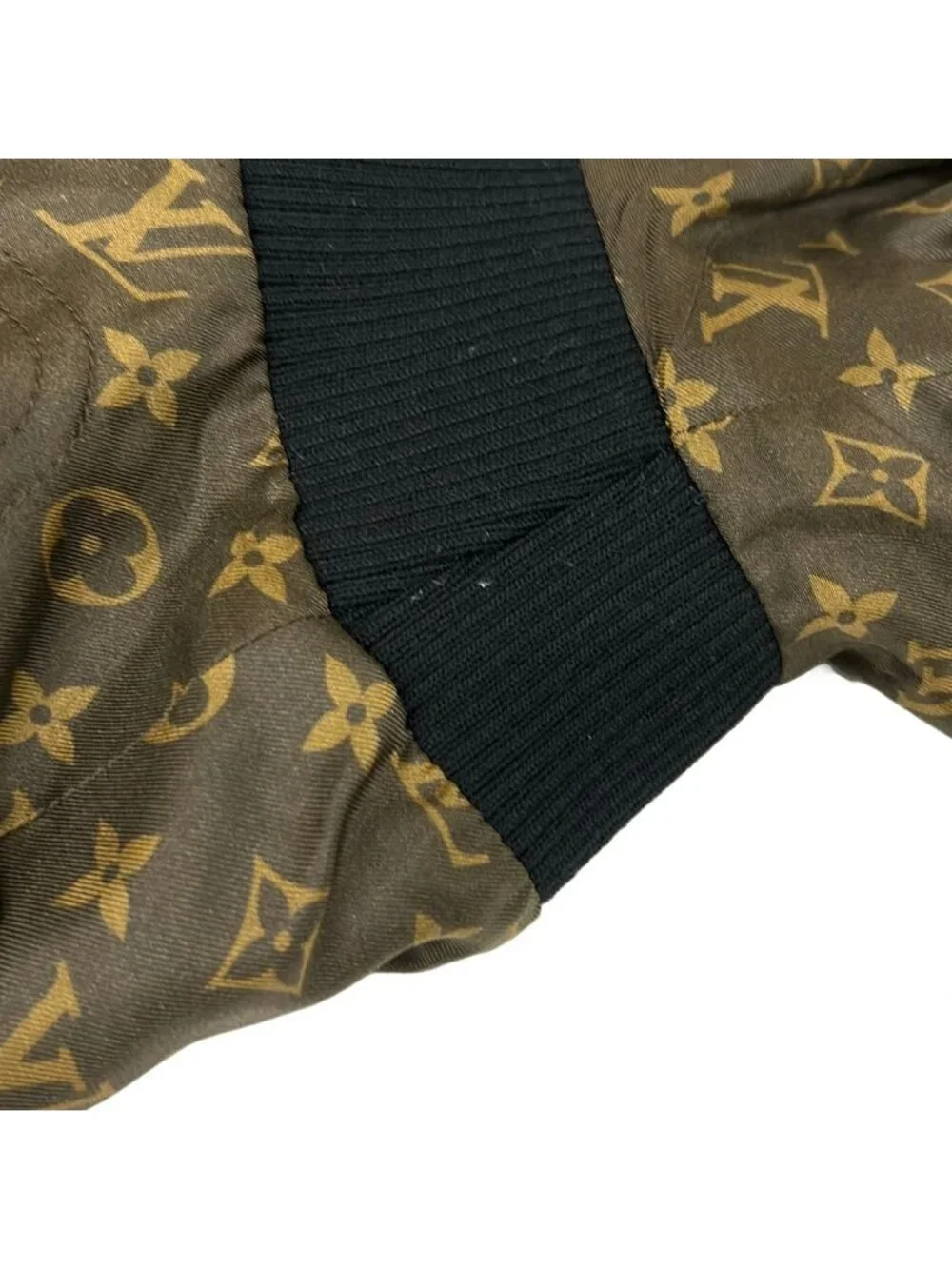 Louis Vuitton category blouson